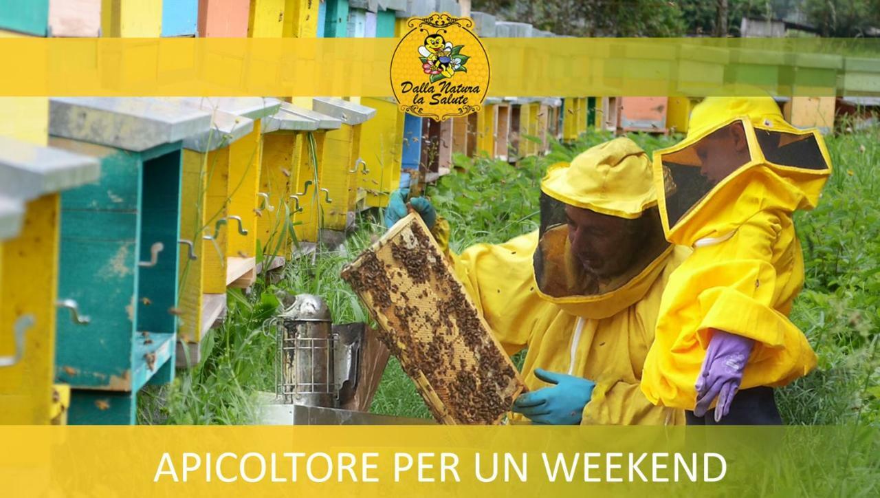 Giustino Agriturismo Dalla Natura La Salute מראה חיצוני תמונה
